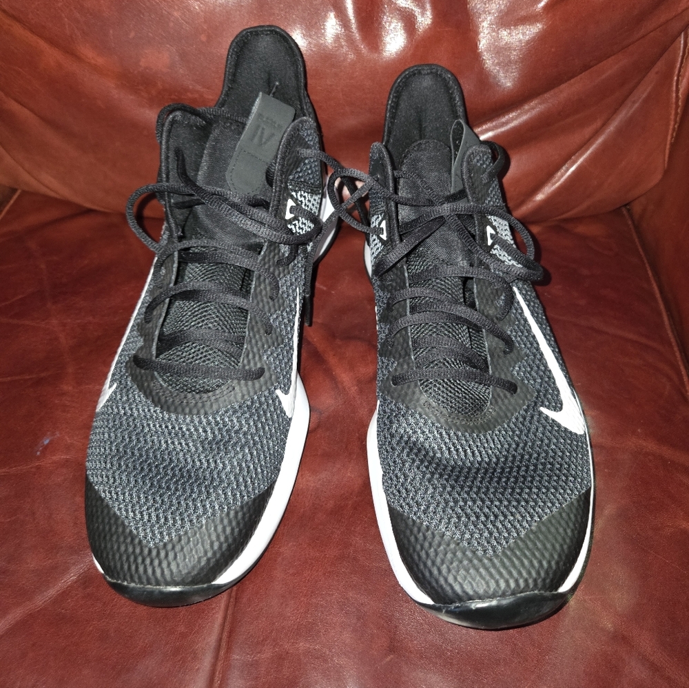 Nike Lebron Witness IV
